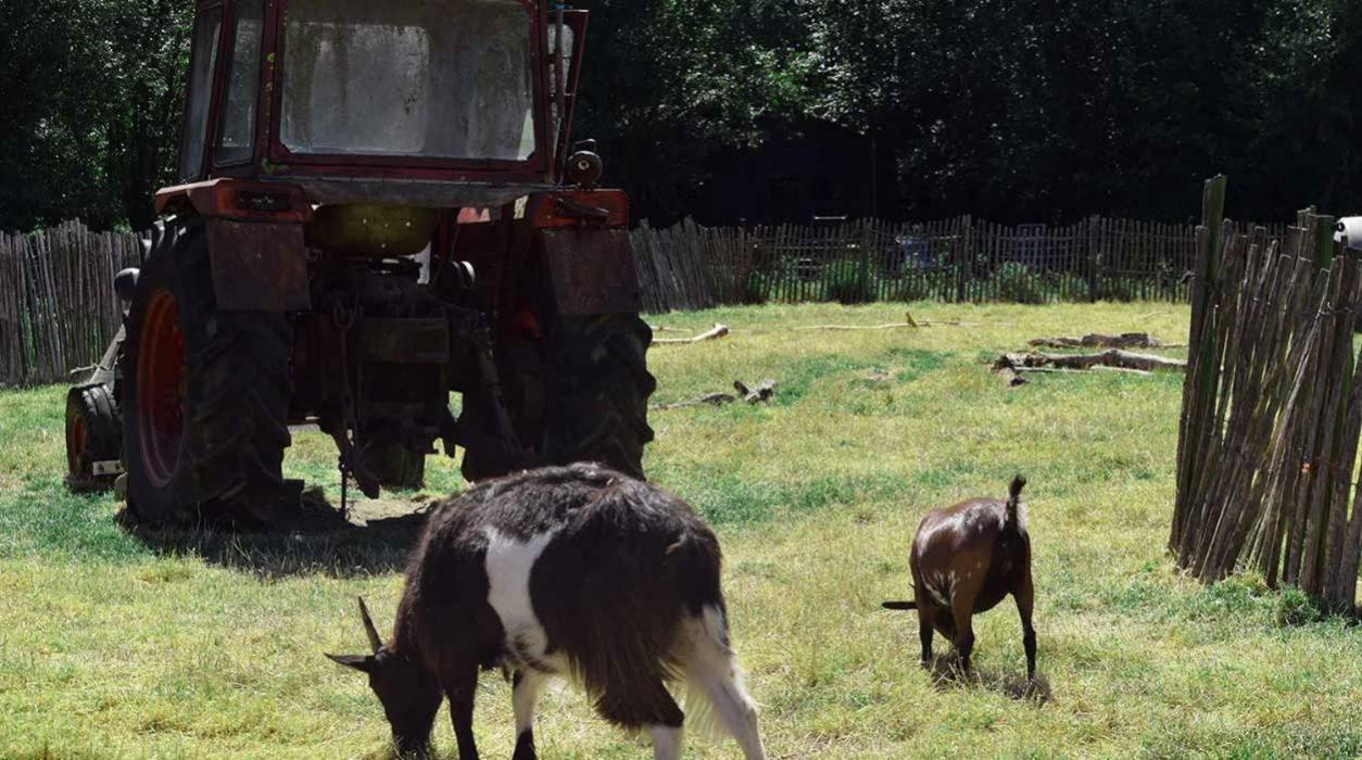 מלון Ophemert Hoeve De Pippert מראה חיצוני תמונה